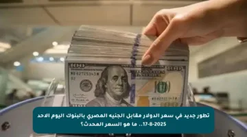 تطور جديد في سعر الدولار مقابل الجنيه المصري بالبنوك اليوم الأحد 17-8-2025.. ما هو السعر المحدث؟